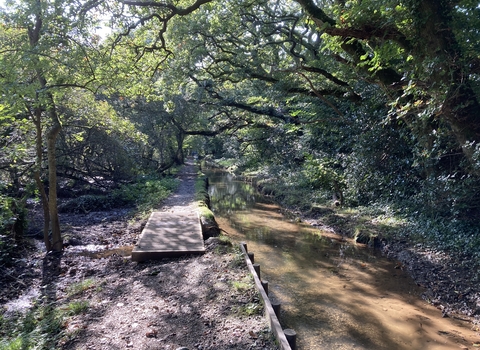 Tywardreath Marsh