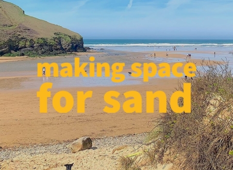 Making Space for Sand in yellow text over a picture of a beach, a black dog at the bottom of the image